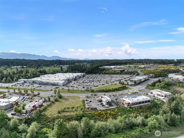 21032 Nordby Dr NW, Poulsbo, WA 98370 - aerial view of a forest and a mountainous background