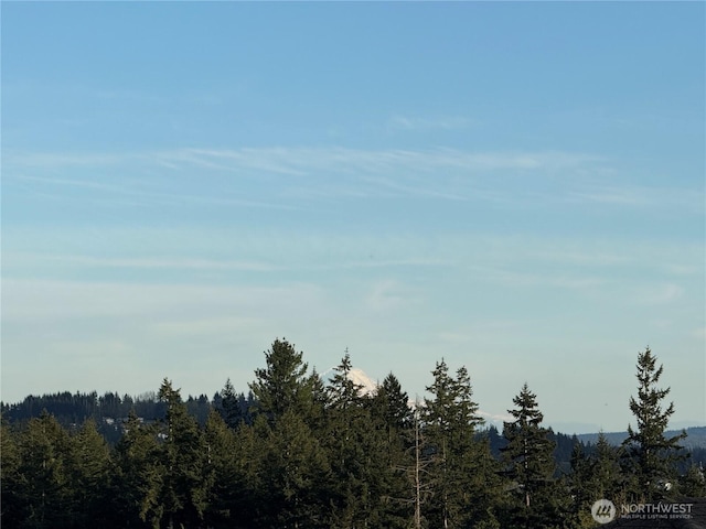 21032 Nordby Dr NW, Poulsbo, WA 98370 - view of tree filled area