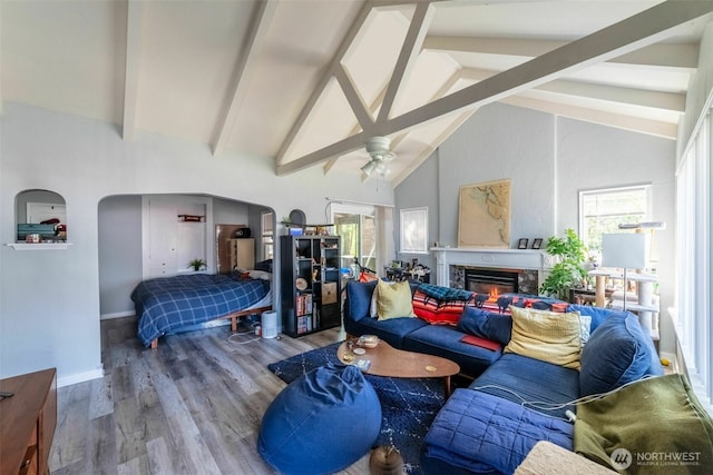 2630 58th Ave SW Unit 1-4, Seattle, WA 98116 - living area featuring wood finished floors, healthy amount of natural light, arched walkways, and a glass covered fireplace