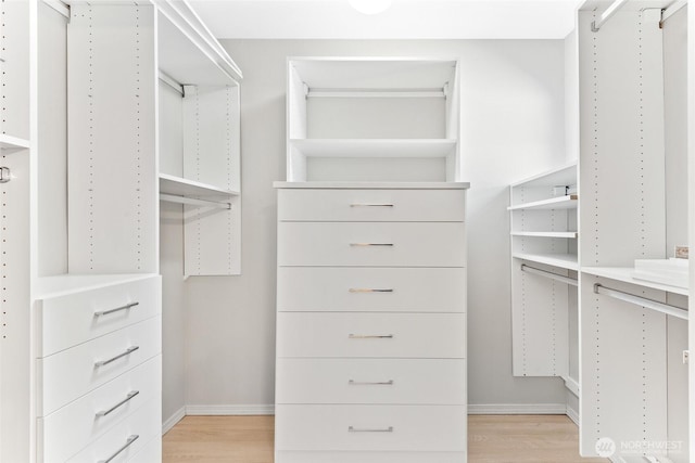 6336 286th Pl NE, Carnation, WA 98014 - walk in closet with light wood-style flooring