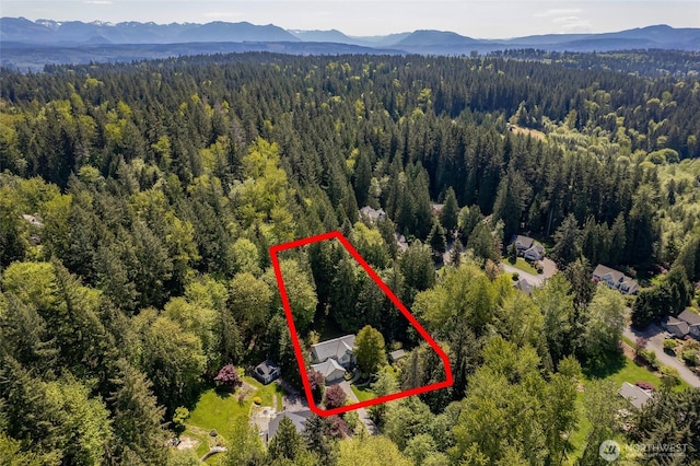 6336 286th Pl NE, Carnation, WA 98014 - aerial overview of property's location with a forest, a mountainous background, and property boundaries highlighted