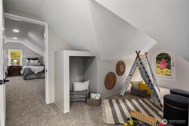 1602 NW 83rd St, Seattle, WA 98117 - rec room with carpet floors, lofted ceiling, and recessed lighting