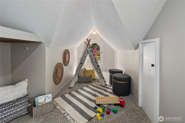 1602 NW 83rd St, Seattle, WA 98117 - game room featuring carpet floors and lofted ceiling