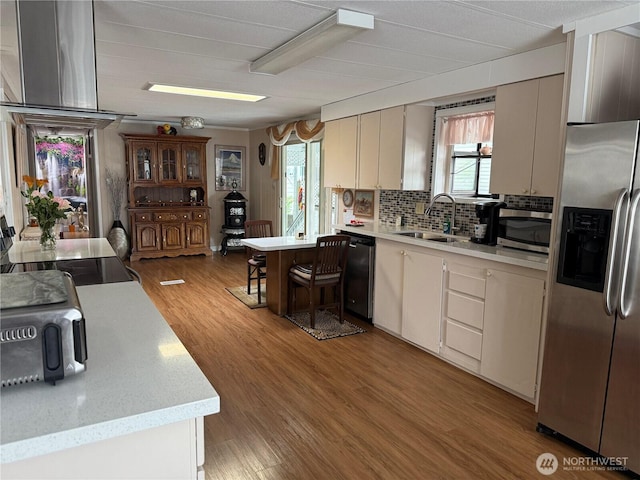 1415 84th St SE Unit 45, Everett, WA 98208 - kitchen with stainless steel appliances, a sink, light countertops, and healthy amount of natural light