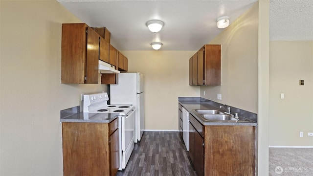 kitchen featuring white appliances, a sink, under cabinet range hood, brown cabinets, and dark countertops