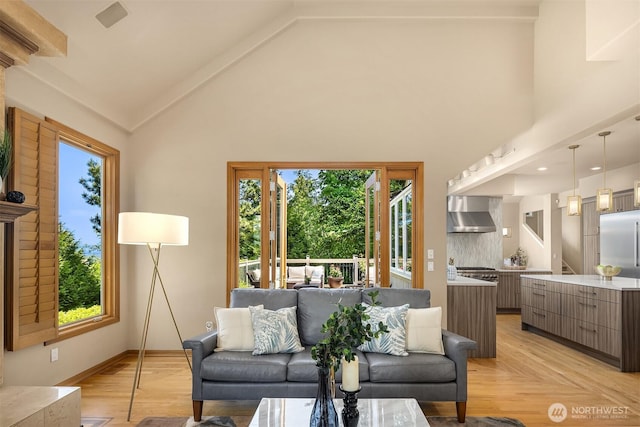 5874 169th Ave SE, Bellevue, WA 98006 - living area featuring plenty of natural light, high vaulted ceiling, and baseboards