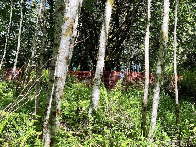 5710 Oyster Bay Rd NW, Olympia, WA 98502 - photo 8