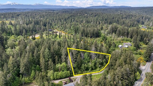 18916 116th St NW, Gig Harbor, WA 98329 - photo 4