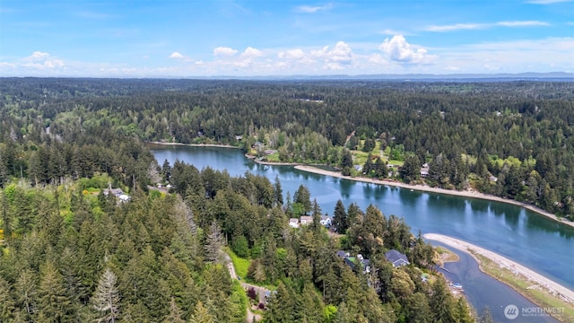 18916 116th St NW, Gig Harbor, WA 98329 - photo 6