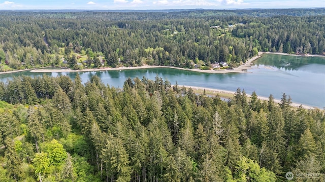 18916 116th St NW, Gig Harbor, WA 98329 - photo 7