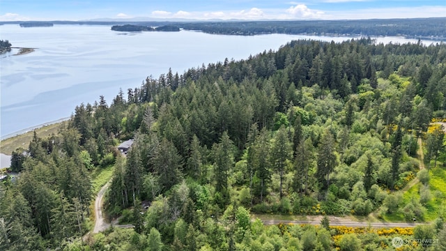 18916 116th St NW, Gig Harbor, WA 98329 - photo 9