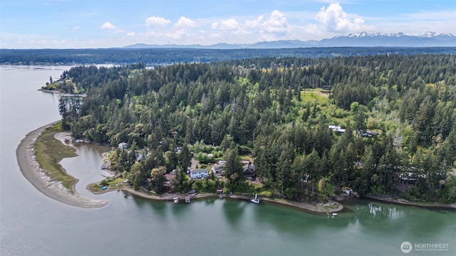 18916 116th St NW, Gig Harbor, WA 98329 - photo 10