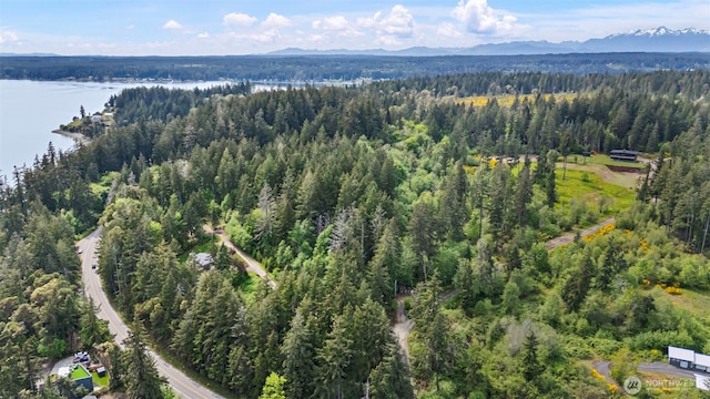 18916 116th St NW, Gig Harbor, WA 98329 - photo 11