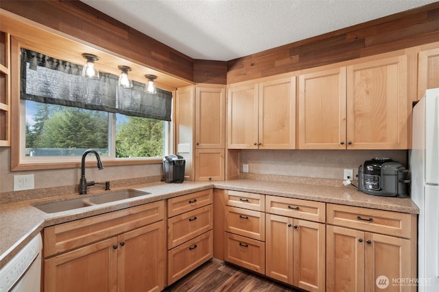 kitchen with a sink, a textured ceiling, light brown cabinets, light countertops, and dark wood-type flooring