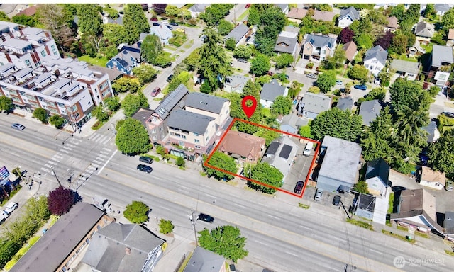 7346 15th Ave NW, Seattle, WA 98117 - photo 5