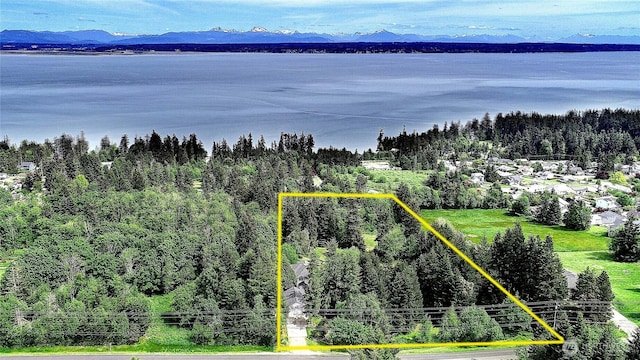 955 Michael Way, Camano Island, WA 98282 - aerial view of property's location with property parcel outlined and a water and mountain view