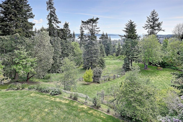 955 Michael Way, Camano Island, WA 98282 - view of yard with a water view