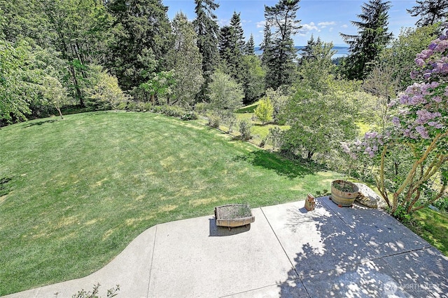 955 Michael Way, Camano Island, WA 98282 - view of yard with a patio and an outdoor fire pit