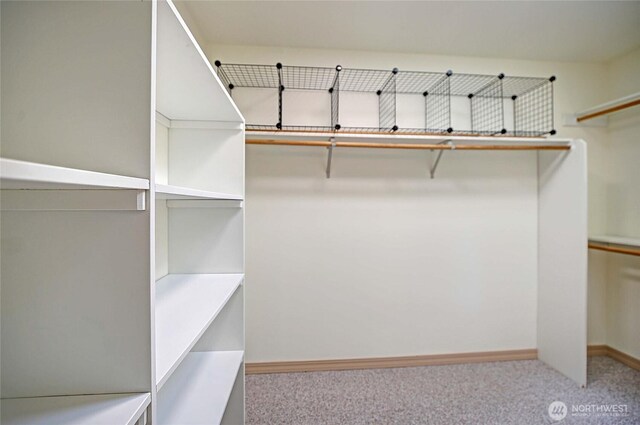 955 Michael Way, Camano Island, WA 98282 - spacious closet with carpet