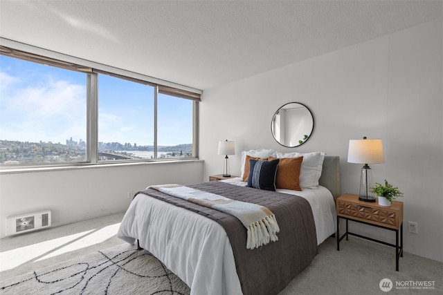 carpeted bedroom with a water view