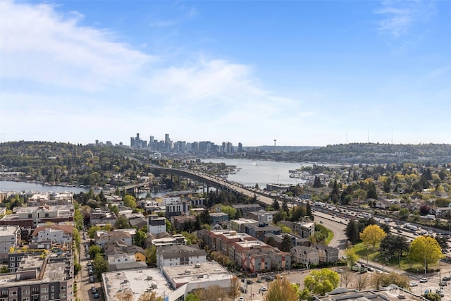 drone / aerial view of a skyline view, a large body of water, and a notable bridge