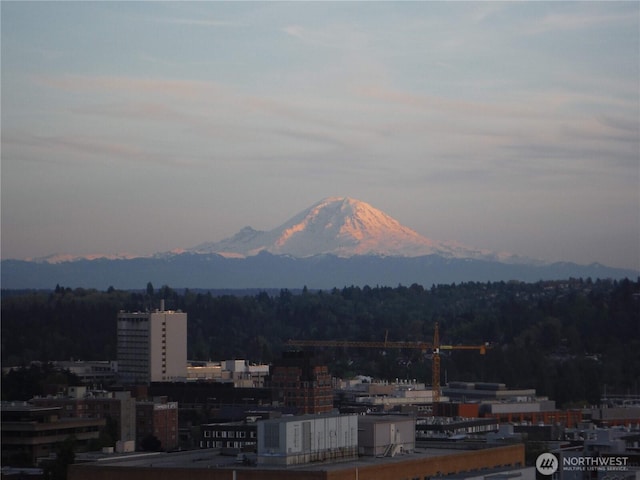 city view with a mountain backdrop and a heavily wooded area