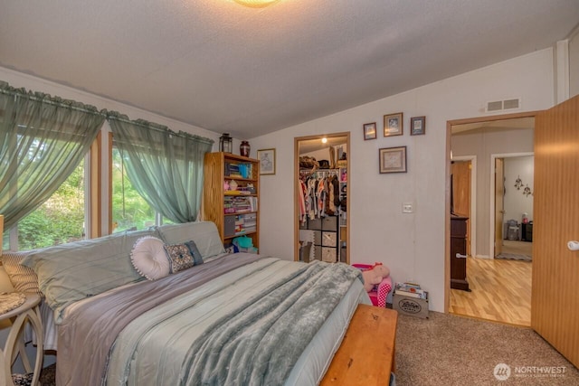 bedroom with vaulted ceiling, a spacious closet, carpet, and a closet
