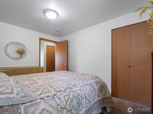 bedroom with carpet flooring and a closet