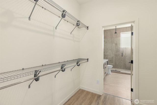 spacious closet featuring light wood-type flooring