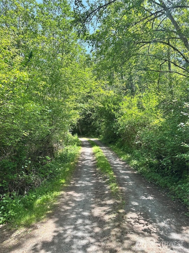 5790 NE Old Mill Rd NE, Bainbridge Island, WA 98110 - view of street featuring a view of trees
