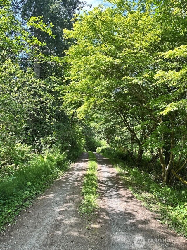 5790 NE Old Mill Rd NE, Bainbridge Island, WA 98110 - view of dirt / gravel road featuring a forest view