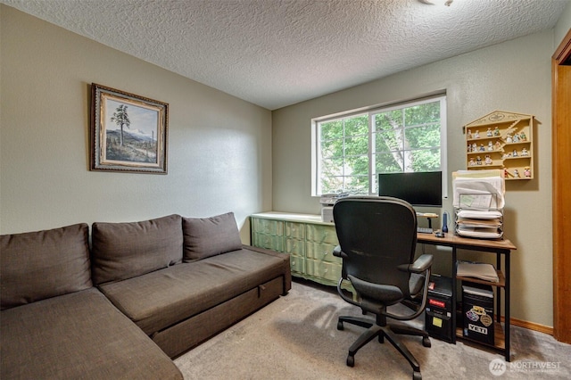 231 Valley Way, Woodland, WA 98674 - home office with carpet floors and a textured ceiling