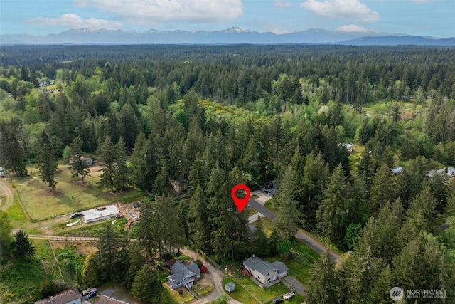 aerial overview of property's location with a forest and a mountainous background