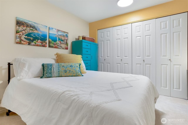 bedroom featuring carpet floors and a closet