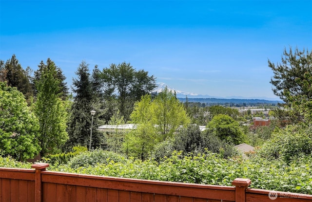 view of yard with a mountain view