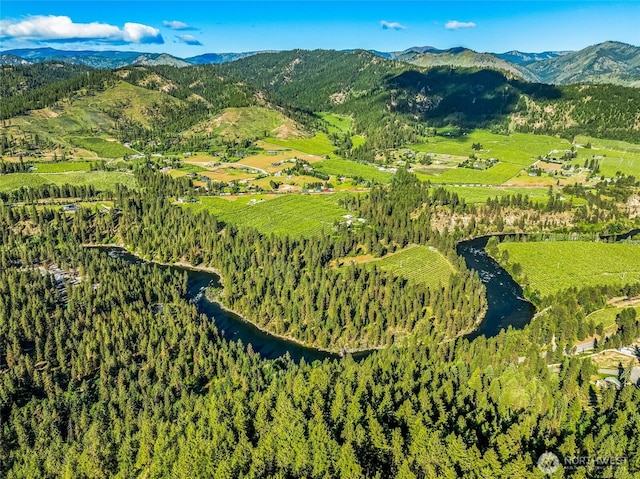 981 Nighthawk Ridge Ln, Leavenworth, WA 98826 - bird's eye view of a mountain backdrop