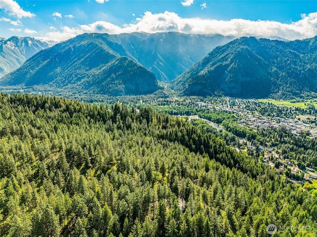981 Nighthawk Ridge Ln, Leavenworth, WA 98826 - view of mountain background featuring a heavily wooded area