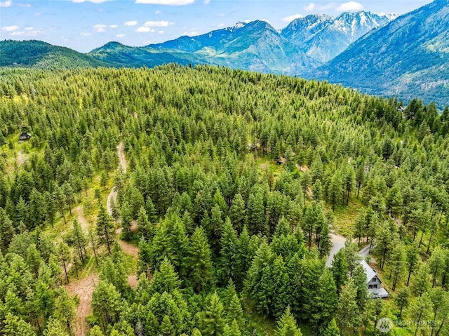 981 Nighthawk Ridge Ln, Leavenworth, WA 98826 - view of mountain backdrop featuring a heavily wooded area