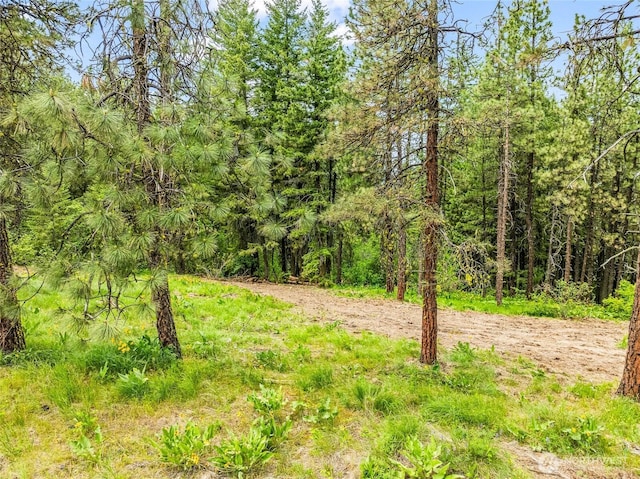 981 Nighthawk Ridge Ln, Leavenworth, WA 98826 - view of woods