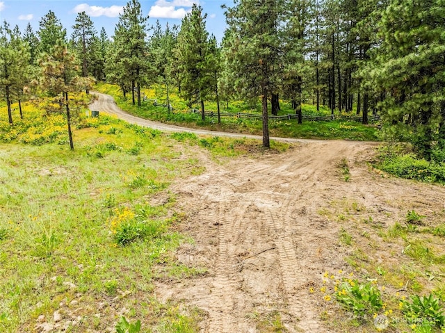 981 Nighthawk Ridge Ln, Leavenworth, WA 98826 - view of street