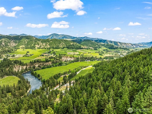 981 Nighthawk Ridge Ln, Leavenworth, WA 98826 - mountain view