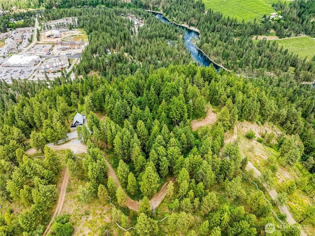 981 Nighthawk Ridge Ln, Leavenworth, WA 98826 - aerial view of a large body of water and a forest