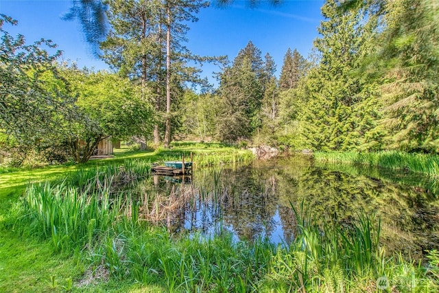 1472 White Beach Rd, Orcas Island, WA 98280 - water view with a heavily wooded area