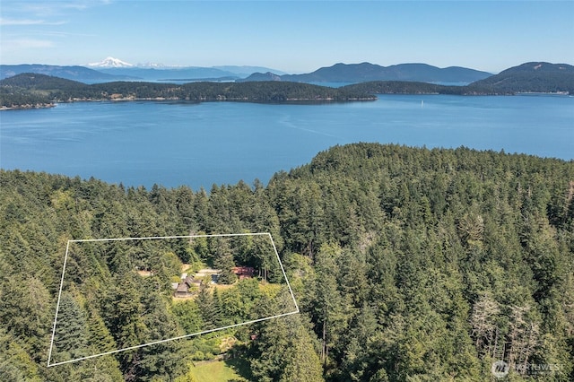 1472 White Beach Rd, Orcas Island, WA 98280 - water view with a mountain backdrop and a forest