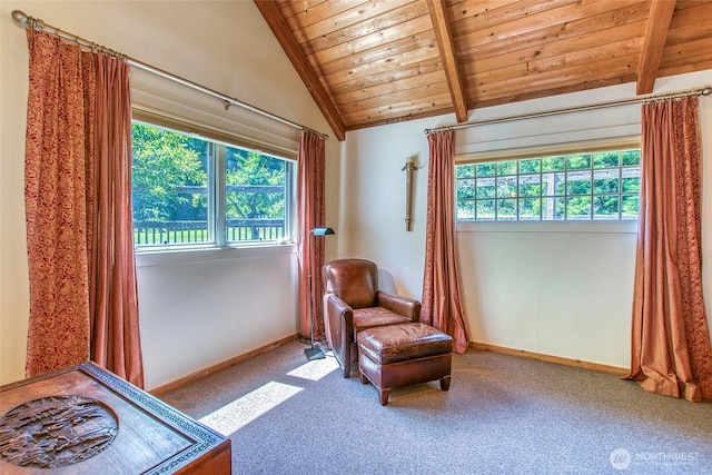 1472 White Beach Rd, Orcas Island, WA 98280 - sitting room featuring wood ceiling and carpet floors