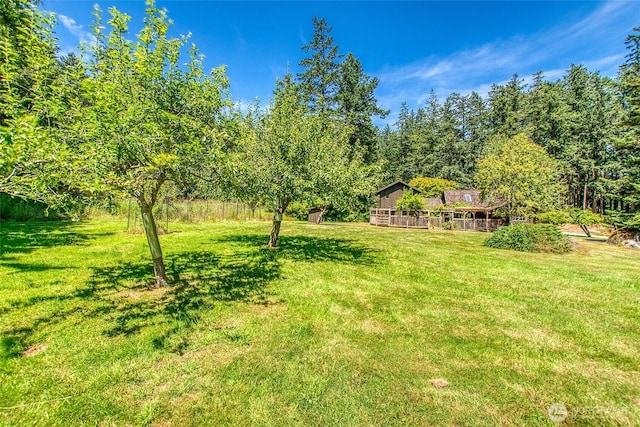 1472 White Beach Rd, Orcas Island, WA 98280 - view of green lawn