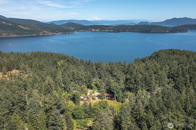 1472 White Beach Rd, Orcas Island, WA 98280 - water view featuring a mountain backdrop