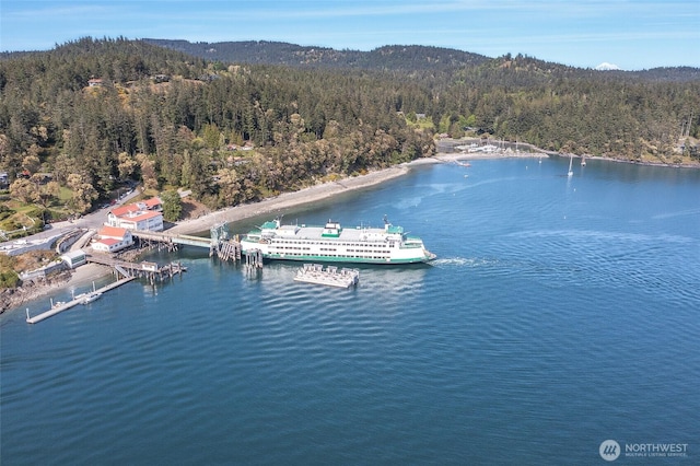 1472 White Beach Rd, Orcas Island, WA 98280 - bird's eye view of a nearby body of water