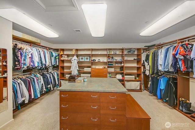 11211 Wachusett Rd, Woodway, WA 98020 - walk in closet with light colored carpet