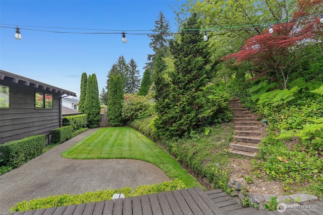 view of grassy yard featuring stairs and a patio area